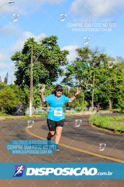 Vale Verde Run 2024