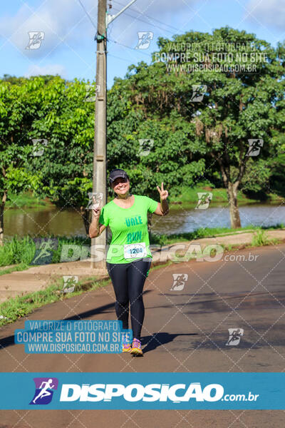 Vale Verde Run 2024