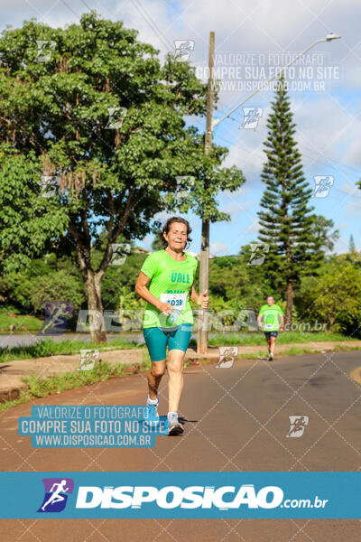 Vale Verde Run 2024