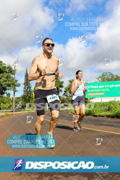 Vale Verde Run 2024