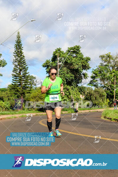 Vale Verde Run 2024