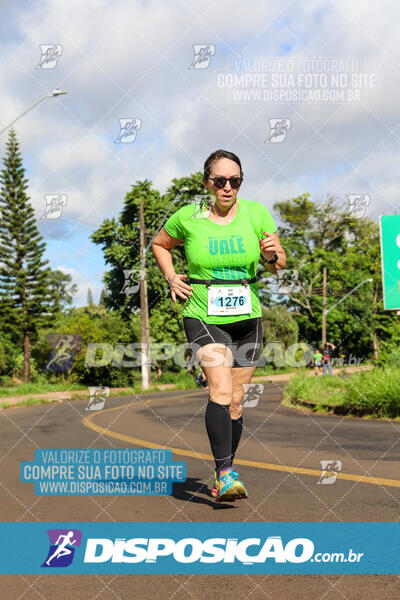 Vale Verde Run 2024