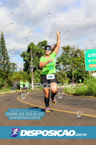 Vale Verde Run 2024