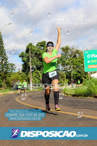 Vale Verde Run 2024