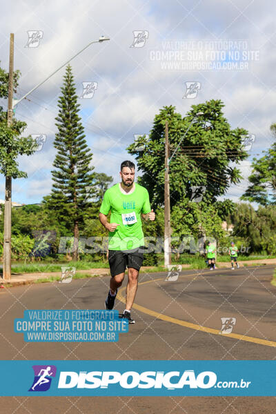 Vale Verde Run 2024