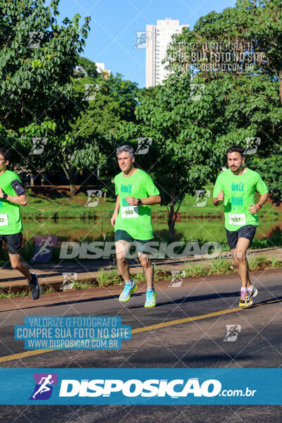 Vale Verde Run 2024