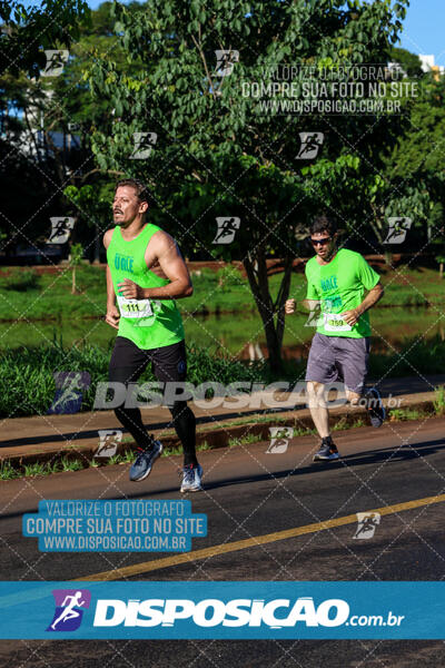 Vale Verde Run 2024