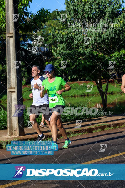 Vale Verde Run 2024