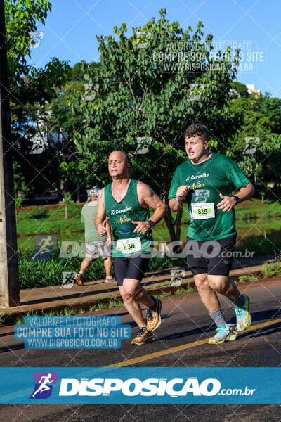 Vale Verde Run 2024