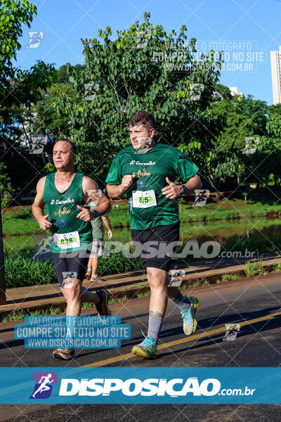 Vale Verde Run 2024