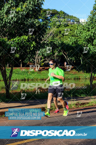 Vale Verde Run 2024