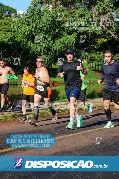 Vale Verde Run 2024