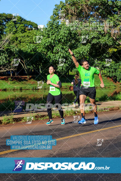 Vale Verde Run 2024