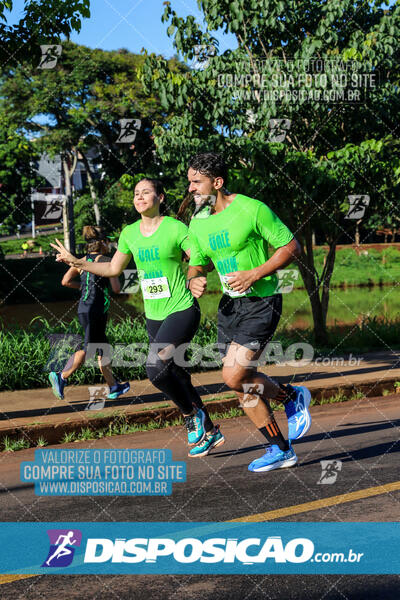 Vale Verde Run 2024