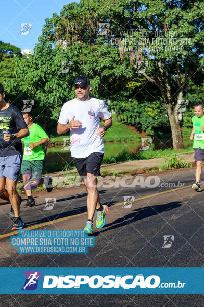 Vale Verde Run 2024