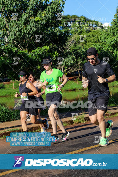 Vale Verde Run 2024