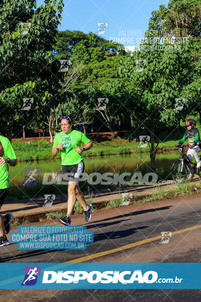 Vale Verde Run 2024