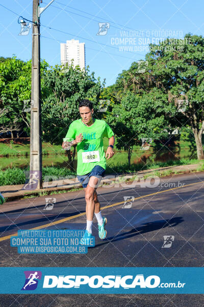 Vale Verde Run 2024