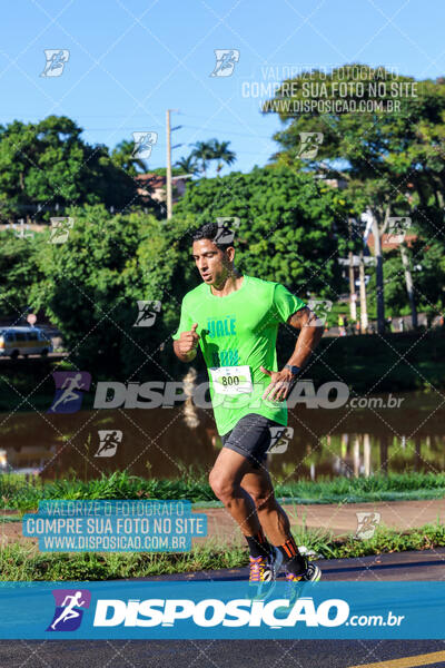 Vale Verde Run 2024