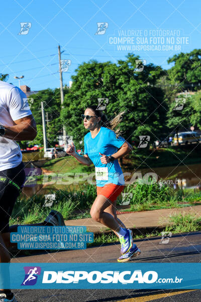 Vale Verde Run 2024