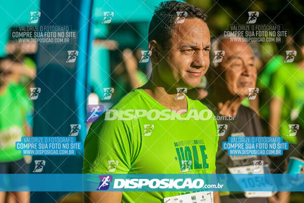 Vale Verde Run 2024