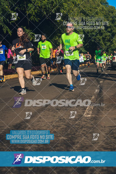 Vale Verde Run 2024