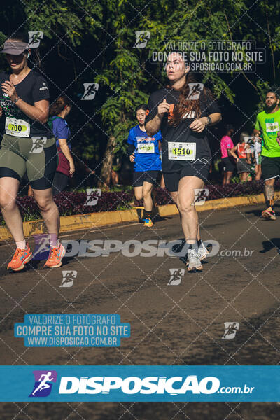 Vale Verde Run 2024