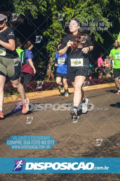 Vale Verde Run 2024