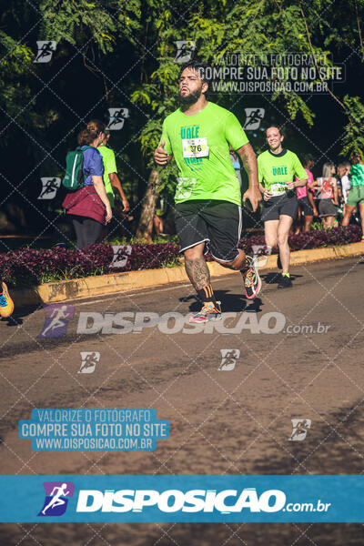 Vale Verde Run 2024