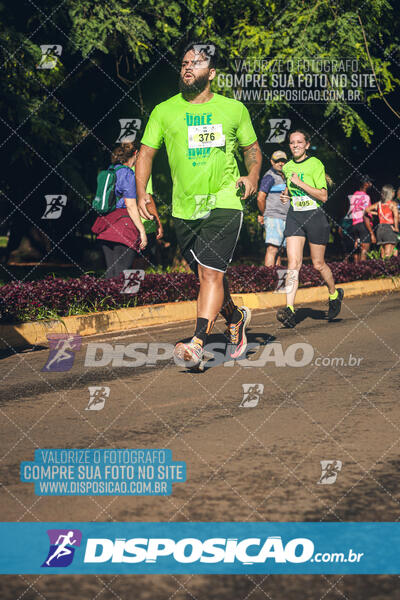 Vale Verde Run 2024