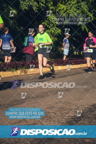 Vale Verde Run 2024