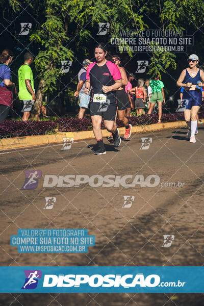 Vale Verde Run 2024