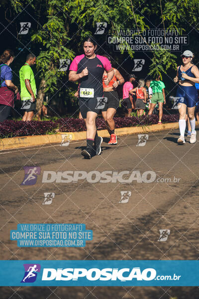 Vale Verde Run 2024