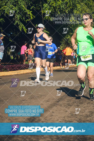 Vale Verde Run 2024