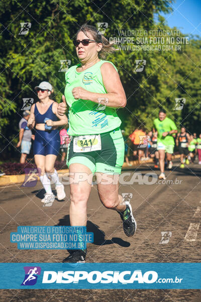 Vale Verde Run 2024