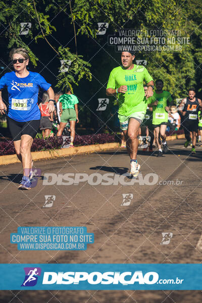 Vale Verde Run 2024