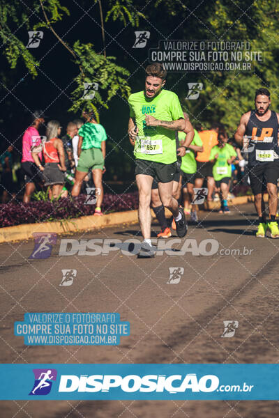 Vale Verde Run 2024