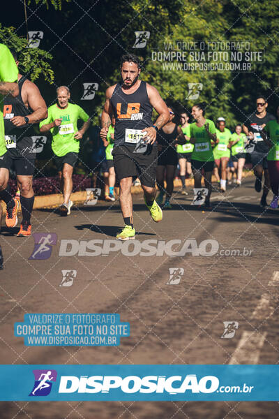 Vale Verde Run 2024