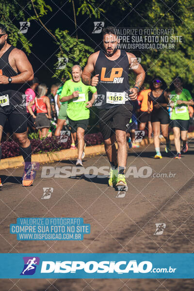 Vale Verde Run 2024