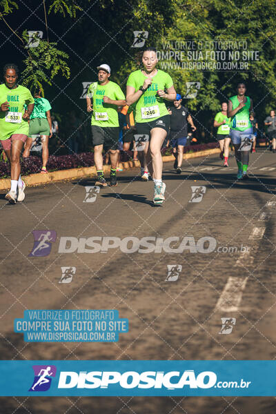 Vale Verde Run 2024