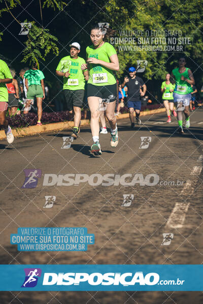 Vale Verde Run 2024