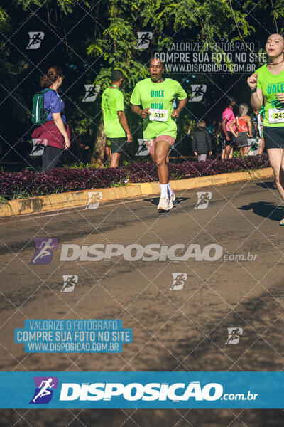 Vale Verde Run 2024