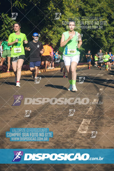 Vale Verde Run 2024