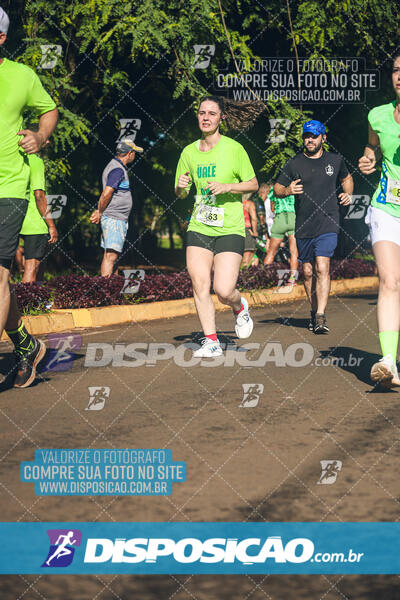 Vale Verde Run 2024