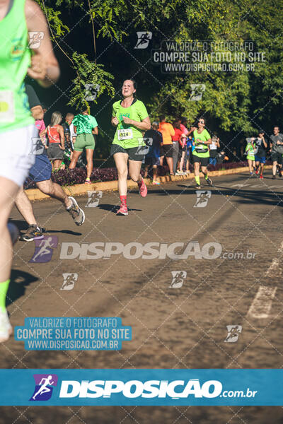 Vale Verde Run 2024