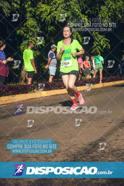 Vale Verde Run 2024