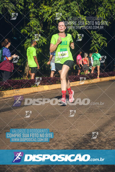 Vale Verde Run 2024