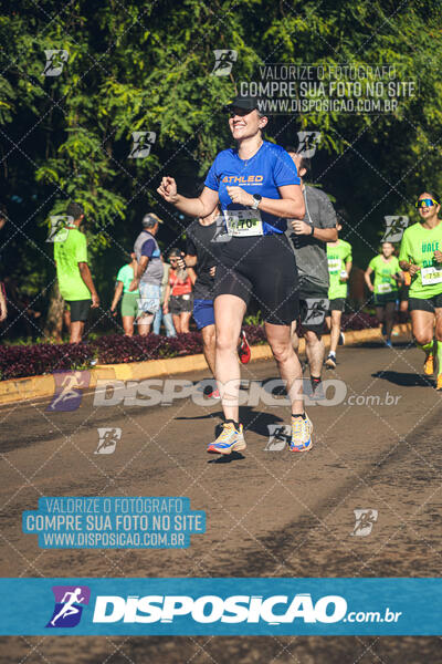 Vale Verde Run 2024