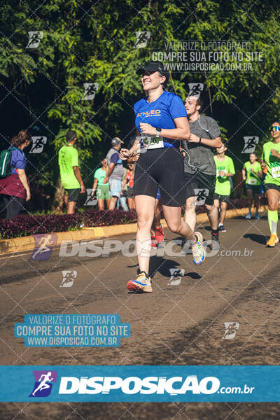 Vale Verde Run 2024