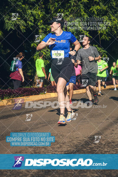 Vale Verde Run 2024